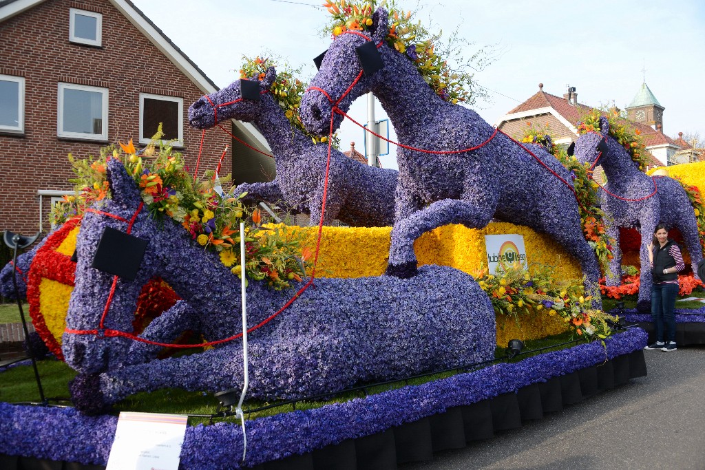 ../Images/Bloemencorso 2015 029.jpg